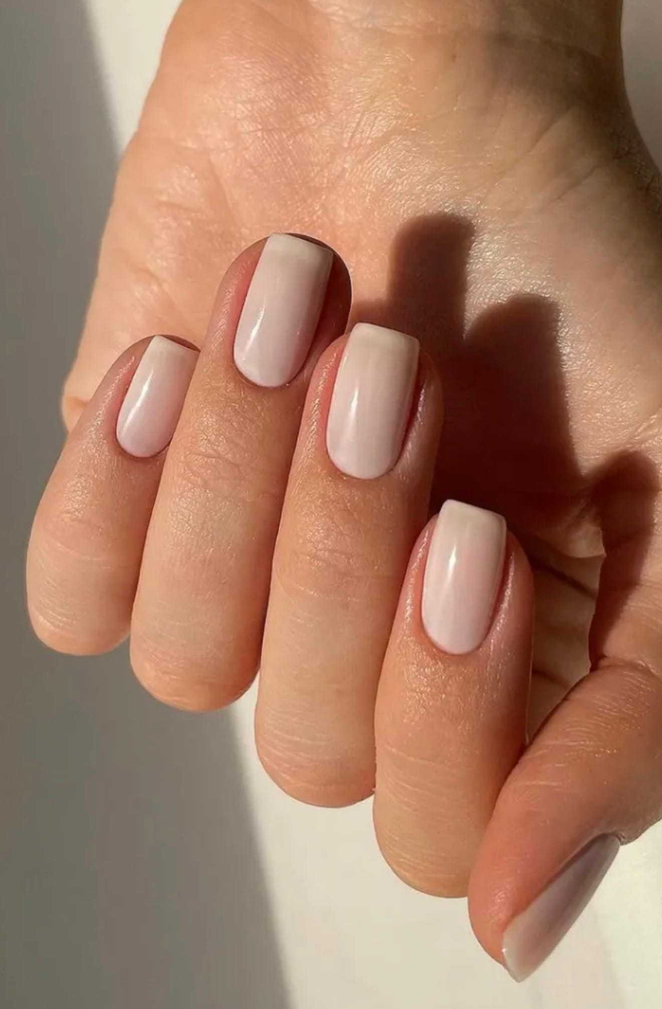 Neatly manicured hand with light pink nail polish in natural lighting.